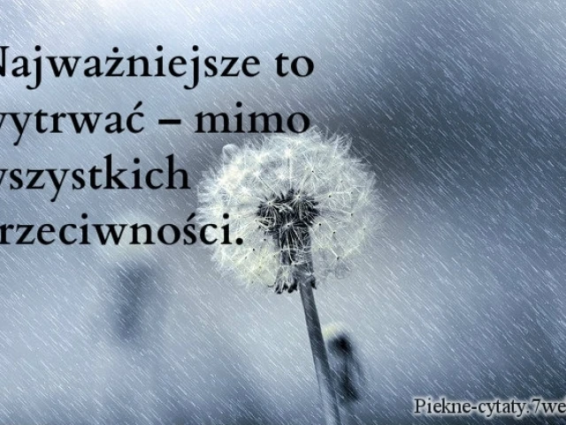 Najważniejsze to wytrwać – mimo wszystkich przeciwności.