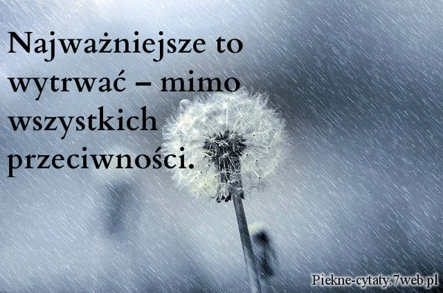 Najważniejsze to wytrwać – mimo wszystkich przeciwności.
