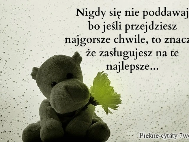 Nigdy się nie poddawaj bo jeśli przejdziesz najgorsze chwile, to znaczy, że zasługujesz na te najlepsze.