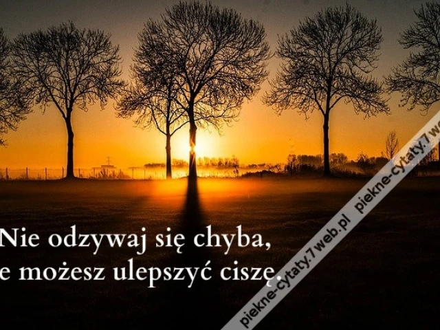 Nie odzywaj się chyba, że możesz ulepszyć ciszę