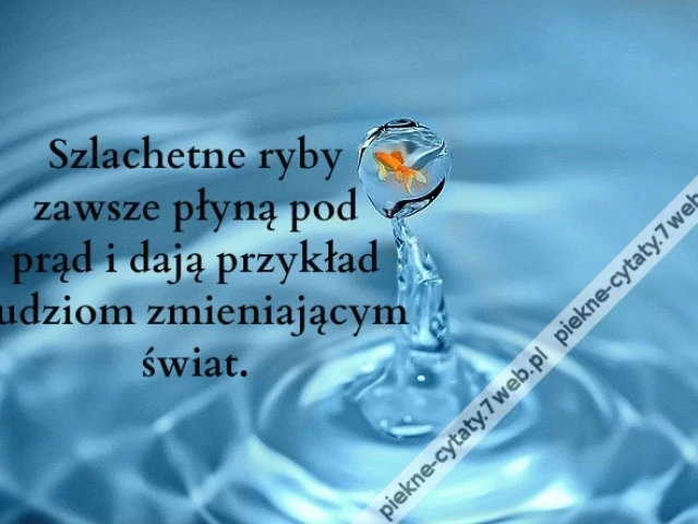 Szlachetne ryby zawsze płyną ...