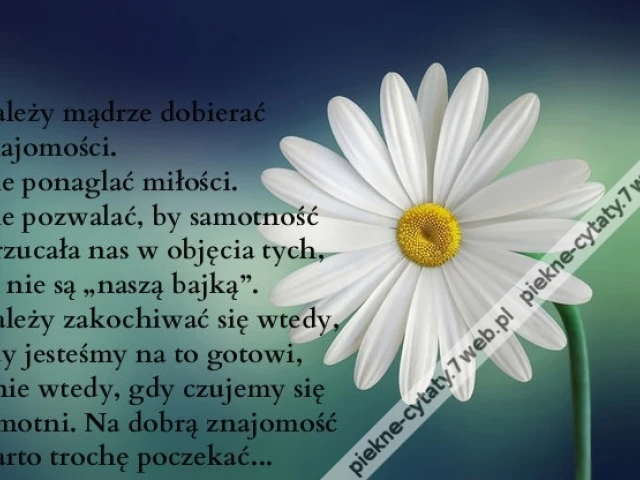 Należy mądrze dobierać znajomości. Nie ponaglać ...