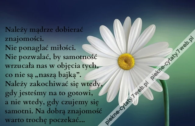 Należy mądrze dobierać znajomości. Nie ponaglać ...