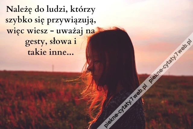 Należę do ludzi, którzy szybko się ...