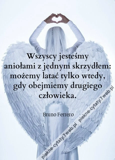 Wszyscy jesteśmy aniołami z jednym skrzydłem ...