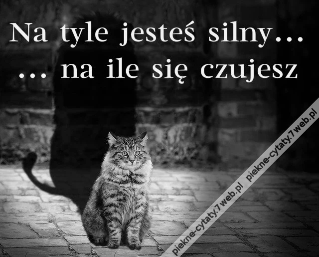 Na tyle jesteś silny...