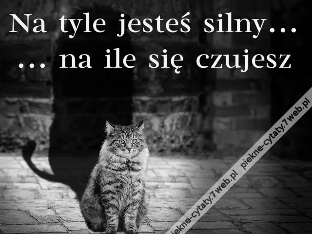 Na tyle jesteś silny...
