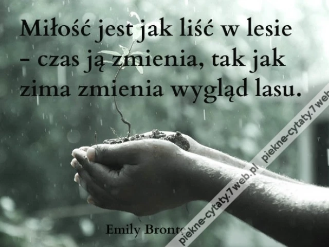 Miłość jest jak liść w lesie ...