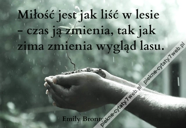 Miłość jest jak liść w lesie ...