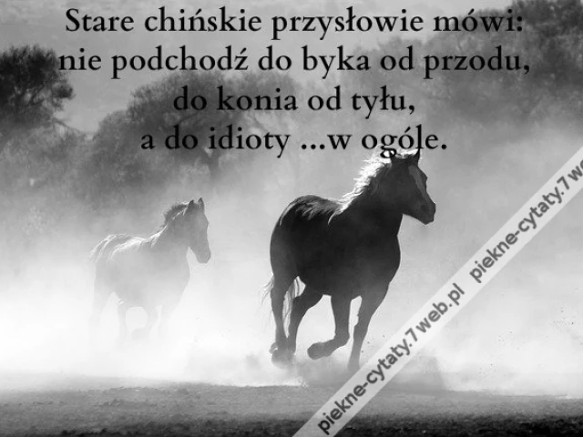 Stare chińskie przysłowie mówi: nie podchodź ...