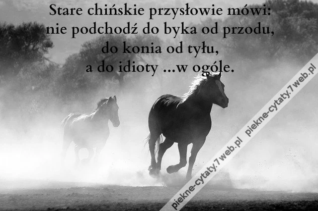 Stare chińskie przysłowie mówi: nie podchodź ...