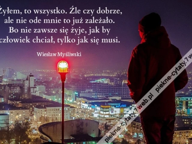 Żyłem, to wszys­tko. Źle czy dob­rze, ale ....