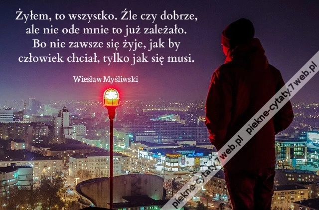 Żyłem, to wszystko. Źle czy dobrze, ale ....