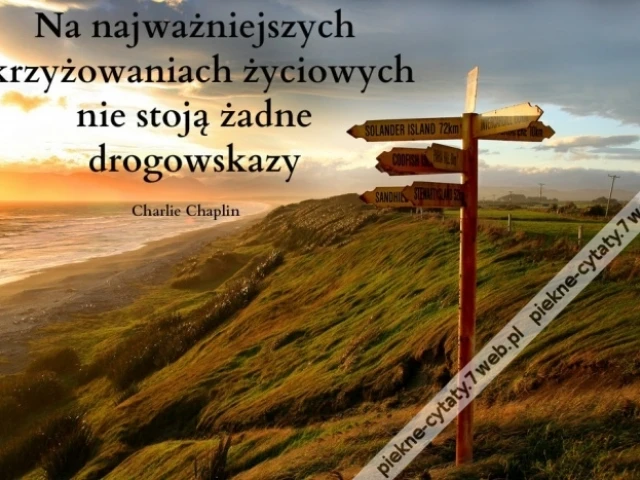 Na najważniejszych skrzyżowaniach ...