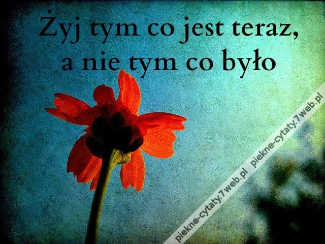 Żyj tym co jest teraz, a nie ...