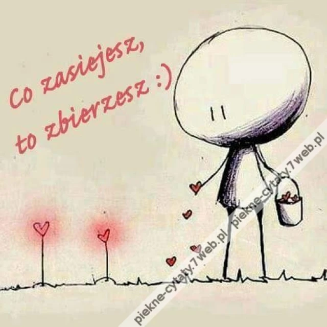 Co zasiejesz ...