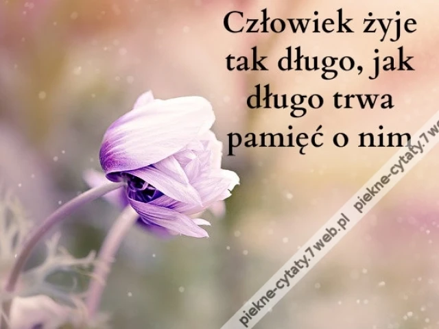Człowiek żyje tak ...