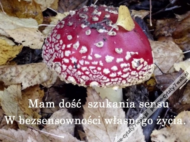 Bezsensowność.