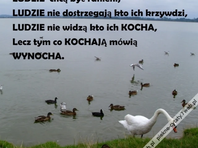 Ludzie.