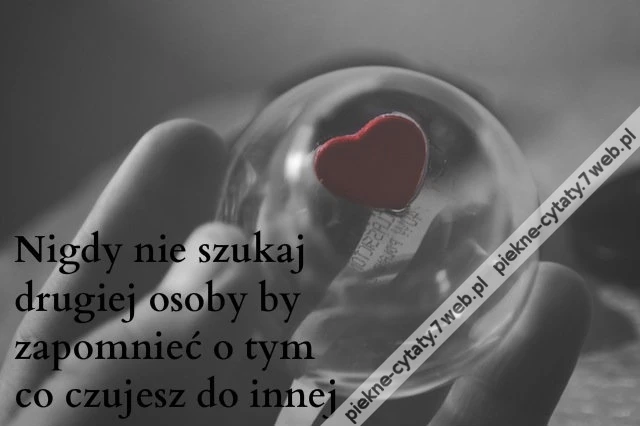 Nigdy nie szukaj drugiej osoby by ...