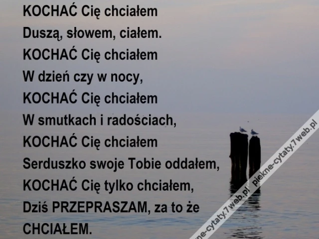 Kochać Cię chciałem.
