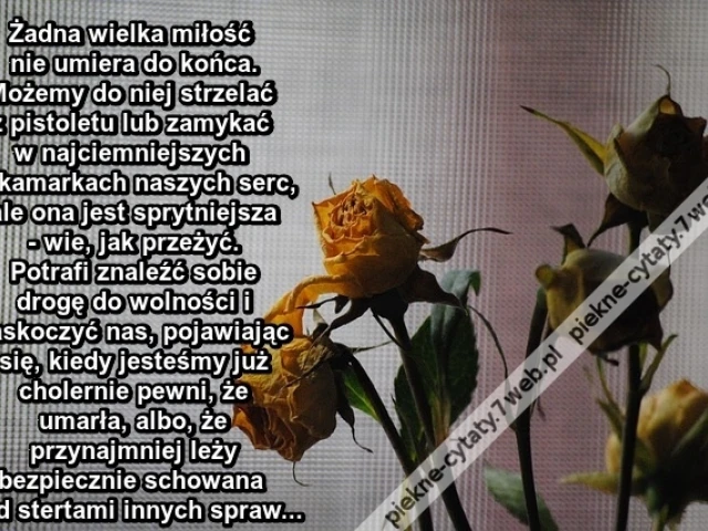 Żadna wielka miłość nie umiera do końca. Możemy ...