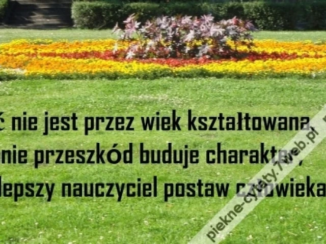 Dorosłość.