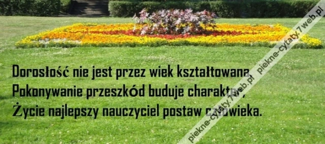 Dorosłość.
