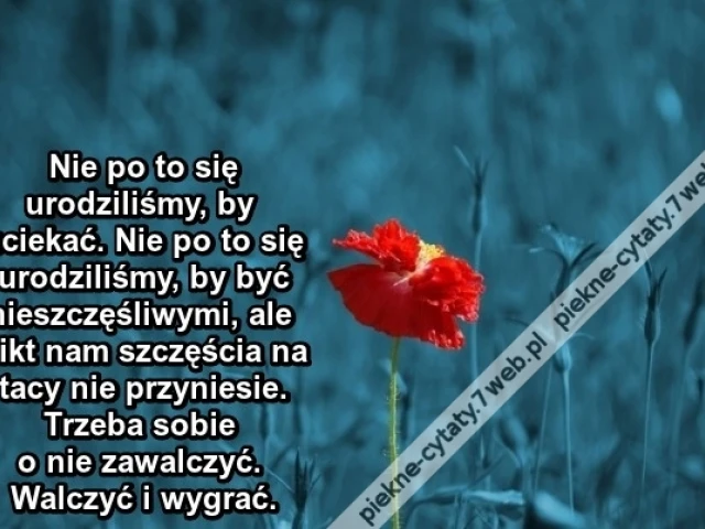 Nie po to się urodziliśmy, by uciekać...