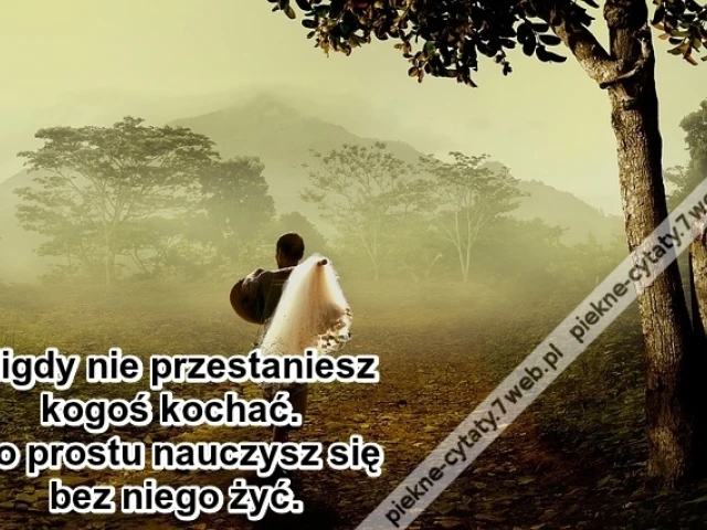 Nigdy nie przestaniesz kogoś kochać ...