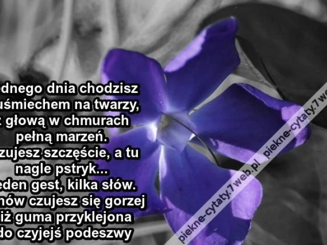 Jednego dnia chodzisz z uśmiechem ...