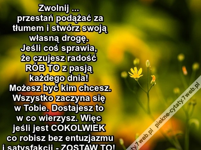 Zwolnij ... przestań podążać za ...