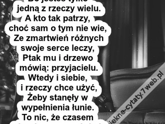 Miłość to znaczy popatrzeć ...