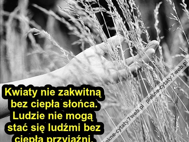 Kwiaty nie zakwitną bez ciepła ...