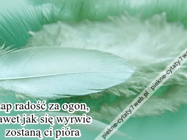Łap radość za ogon, nawet jak ...