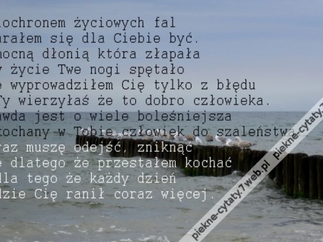 Falochron życia.