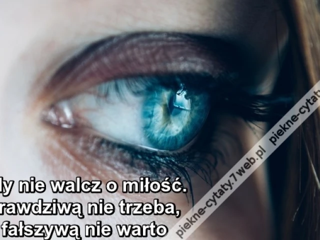 Nigdy nie walcz o miłość ...