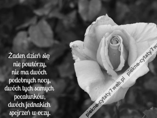 Żaden dzień się nie powtórzy, nie ma ...