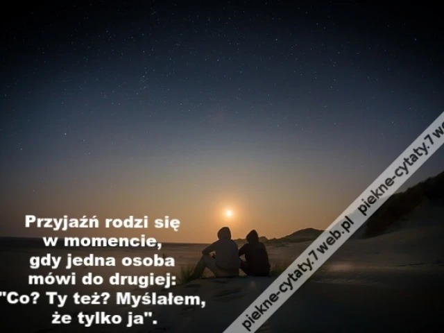 Przyjaźń rodzi się w momencie, gdy ...