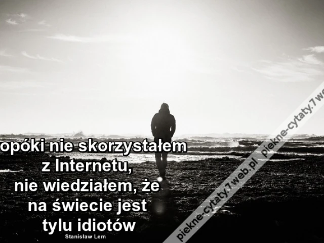 Dopóki nie skorzystałem z Internetu ...