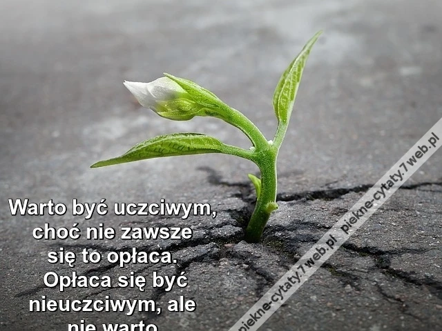 Warto być uczciwym, choć ...