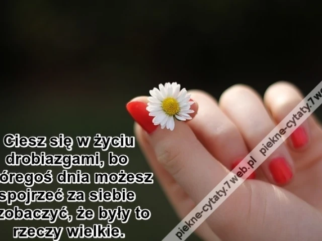 Ciesz się w życiu drobiazgami ...