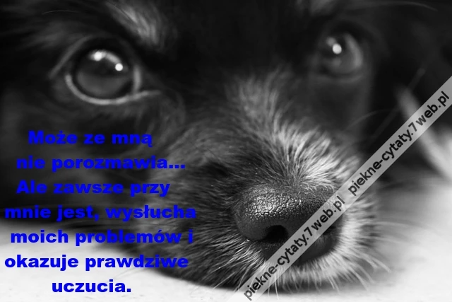 Może ze mną nie porozmawia...