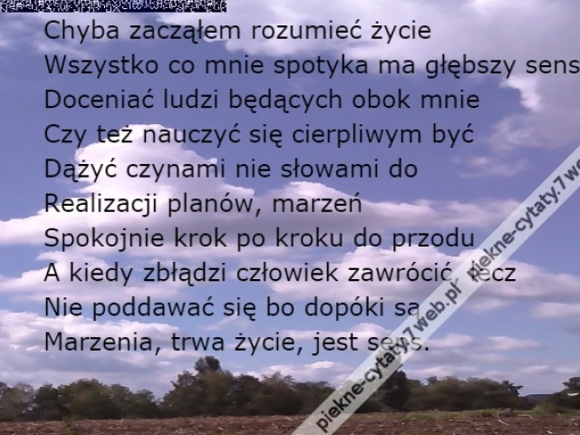 Chyba zacząłem rozumieć życie ...