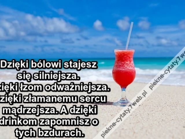 Dzięki bólowi stajesz się silniejsza. Dzięki łzom odważniejsza. Dzięki złamanemu sercu mądrzejsza. A dzięki drinkom zapomnisz o tych bzdurach.