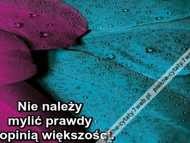 Nie należy mylić prawdy z opinią większości.