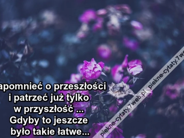 Zapomnieć o przeszłości i patrzeć już tylko w przyszłość . Gdyby to jeszcze było takie łatwe...