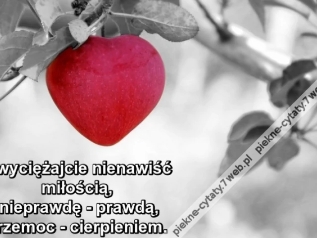 Zwyciężajcie nienawiść miłością, nieprawdę - prawdą, przemoc - cierpieniem.