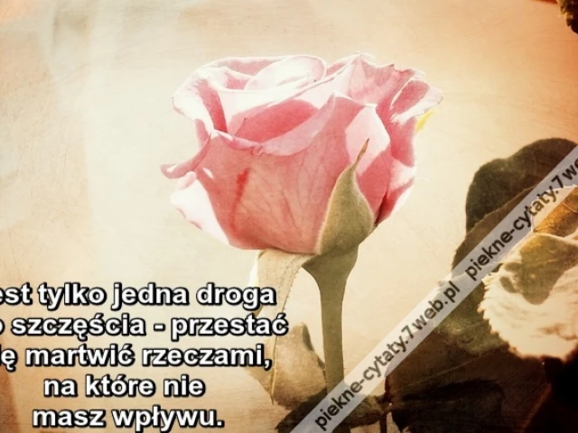 Jest tylko jedna droga do szczęścia - przestać się martwić rzeczami, na które nie masz wpływu.