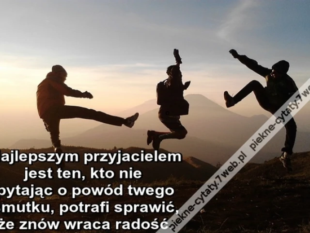 Najlepszym przyjacielem jest ten, kto nie pytając o powód twego smutku, potrafi sprawić, że znów wraca radość.